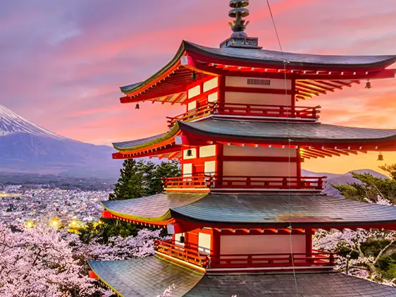 ویزای ژاپن را مستقیم از کارگزار بخواهید