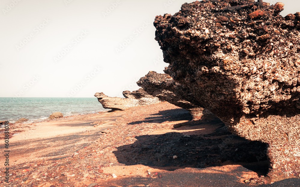 تصویری از صخره های مرجانی جزیره هرمز