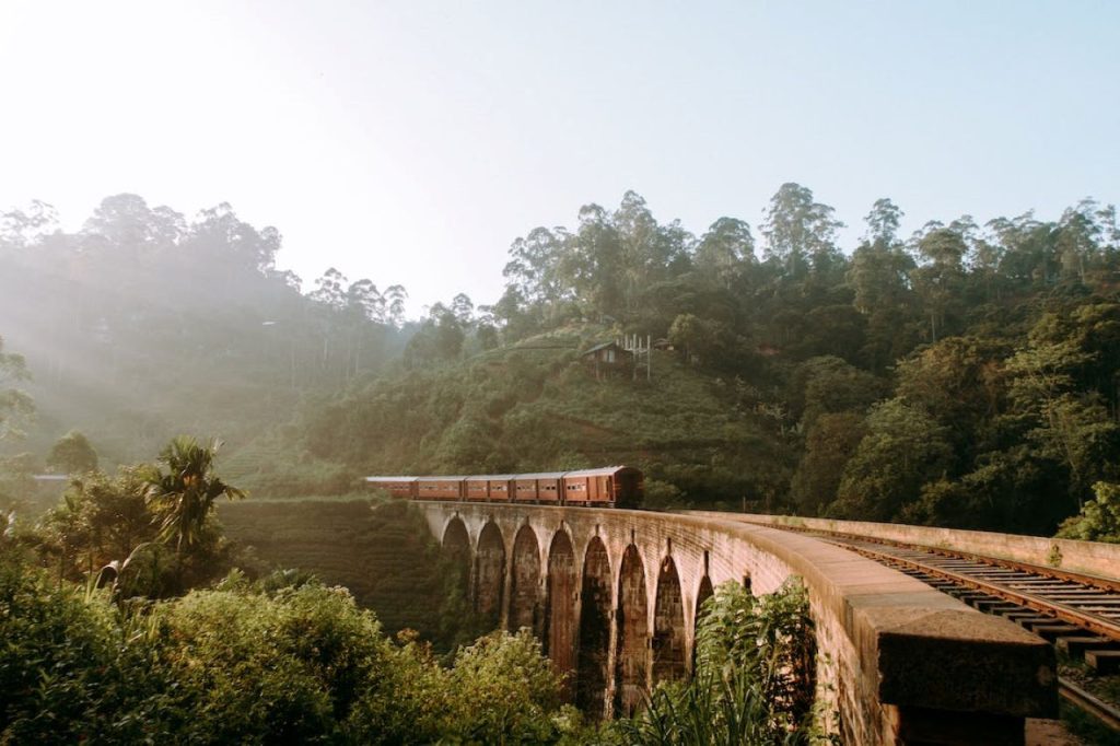 تصویری از قطار در طبیعت سریلانکا