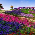 تصویری از باغ گل دبی