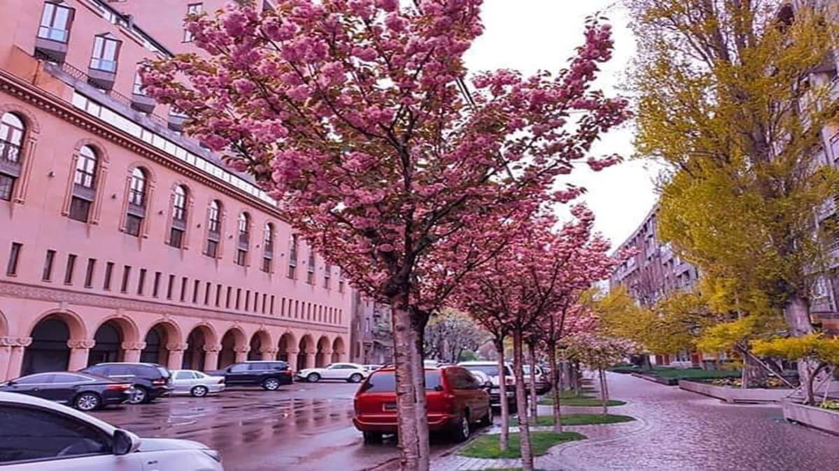 تصویری از شهر ایروان در بهار