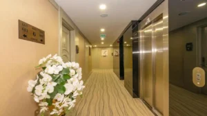 کانفریوم (Conferium)